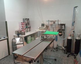 SAM_0122