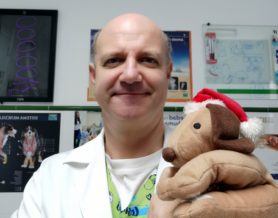 Los animales y la Navidad.